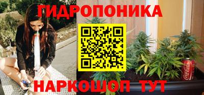 стафф Сертолово