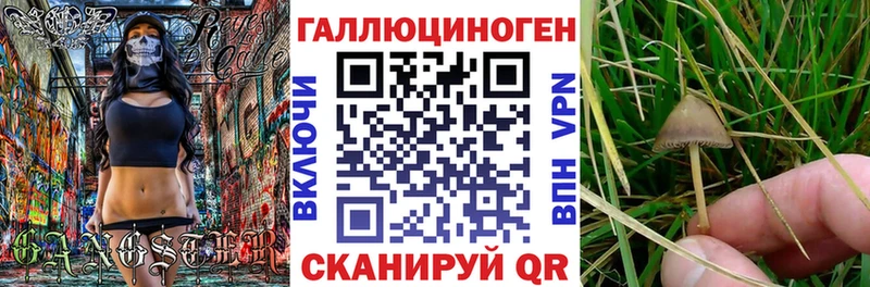 Галлюциногенные грибы Cubensis  хочу наркоту  мега ONION  Вольск 