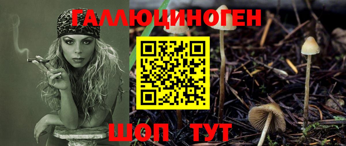 Галлюциногенные грибы мухоморы  Вход с VPN  Вольск  Галлюциногенные грибы ЛСД 
