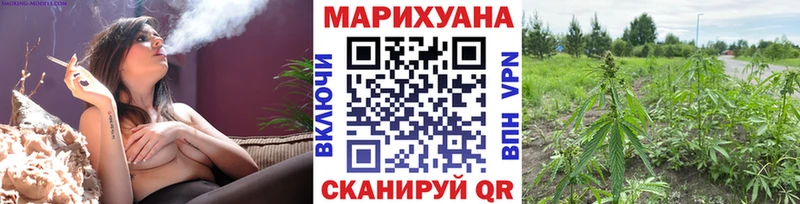 Шишки марихуана OG Kush Вольск
